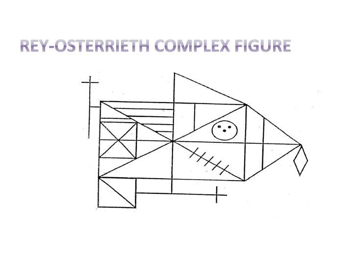 Rey Osterrieth Complex Figure Manual